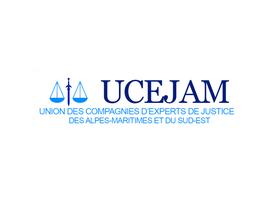 Logo 1
